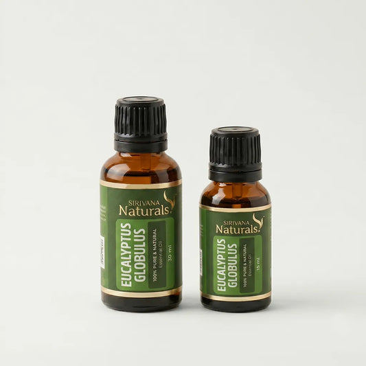 Eucalyptus Globulus Oil