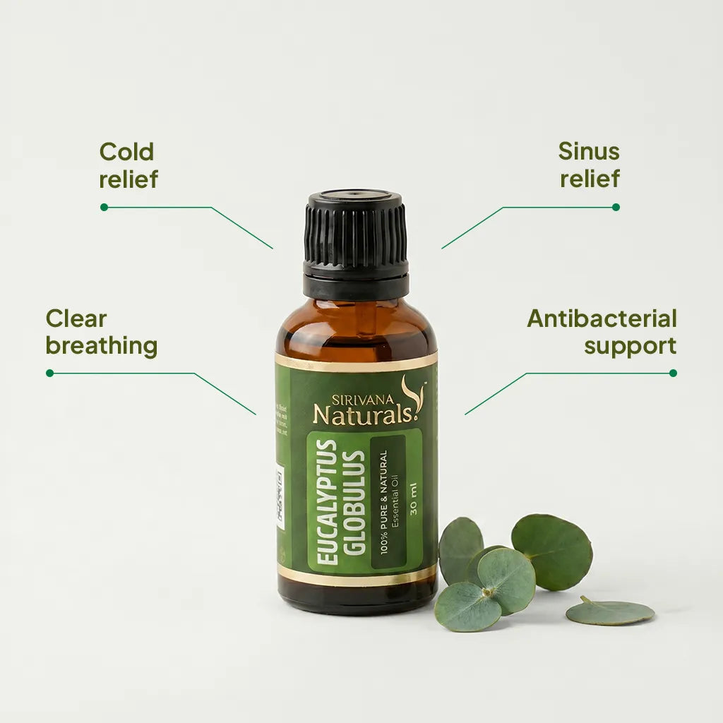 Eucalyptus Globulus Oil