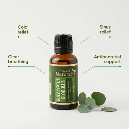 Eucalyptus Globulus Oil