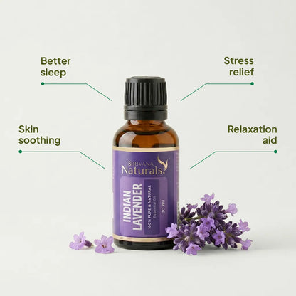 Lavender Oil