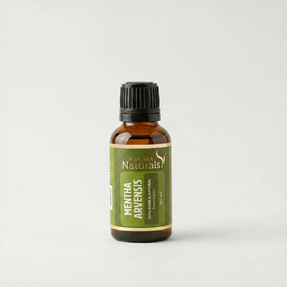 Mentha Arvensis Oil