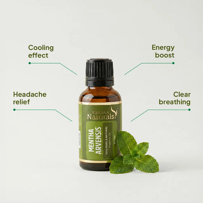 Mentha Arvensis Oil